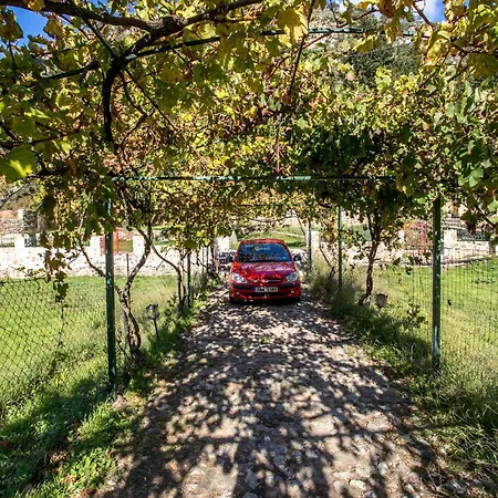 Ifigenia Lux Maisonette In Oldtown And In Theriso Vilage 14 Km Outside Of Chania